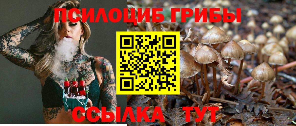 Галлюциногенные грибы Cubensis  Вход с VPN  Котельники 